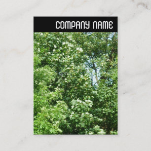 Tarjeta De Visita Cabecera V - Brisa de verano