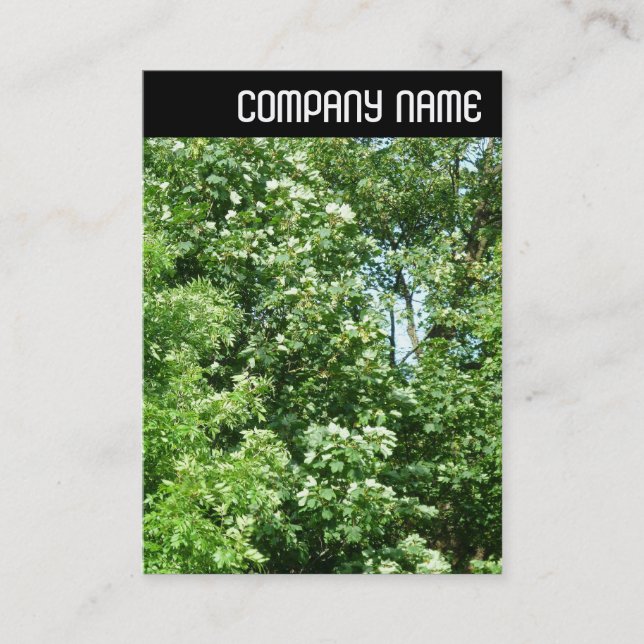 Tarjeta De Visita Cabecera V - Brisa de verano (Anverso)