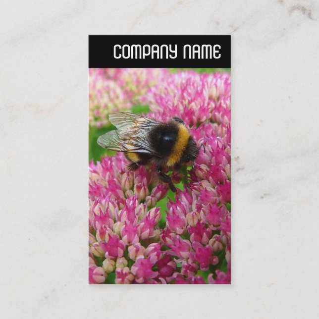 Tarjeta De Visita Cabecera V - Bumble Bee Sedum (Anverso)