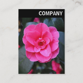 Tarjeta De Visita Cabecera V - Camellia rosa