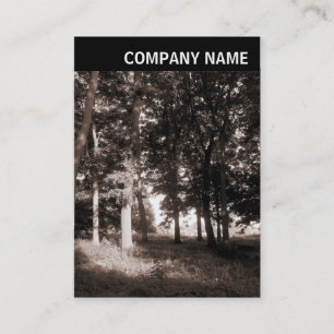 Tarjeta De Visita Cabecera V - Foto - Paisaje de Parque