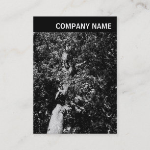 Tarjeta De Visita Cabecera V - Imagen - Árbol de plano