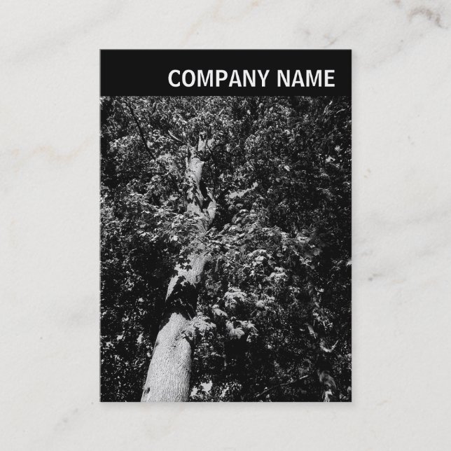 Tarjeta De Visita Cabecera V - Imagen - Árbol de plano (Anverso)