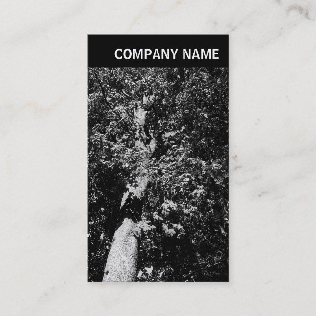 Tarjeta De Visita Cabecera V - Imagen - Árbol de plano (Anverso)