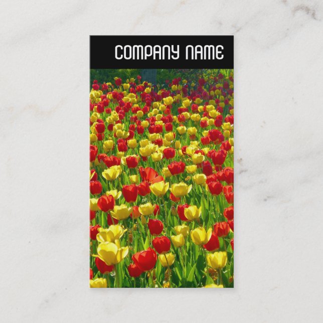 Tarjeta De Visita Cabecera V - Mar de Tulipanes (Anverso)