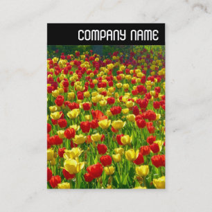 Tarjeta De Visita Cabecera V - Mar de Tulipanes
