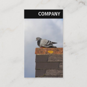 Tarjeta De Visita Cabecera V - Paloma de Buenos Días