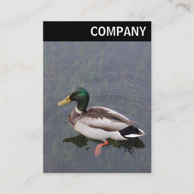 Tarjeta De Visita Cabecera V - Pato Mallard (Anverso)
