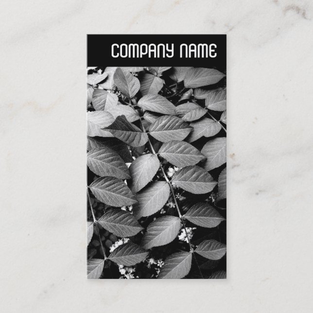 Tarjeta De Visita Cabecera V - Saltos (Anverso)