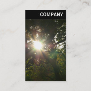Tarjeta De Visita Cabecera V - Sol en los árboles