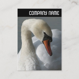 Tarjeta De Visita Cabecera V - Swan