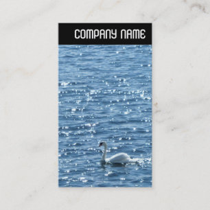 Tarjeta De Visita Cabecera V - Swan