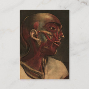 Tarjeta De Visita Cabeza, cuello, y hombros de la anatomía el del