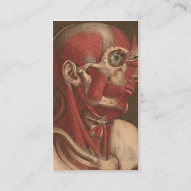 Tarjeta De Visita Cabeza, cuello, y hombros de la anatomía el | del (Anverso)