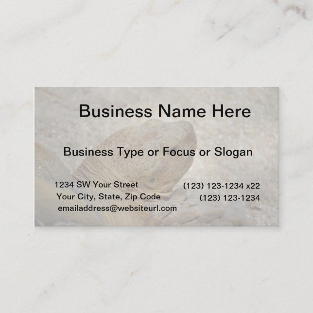 Tarjeta De Visita cabeza de tortuga cerca de tortuga vieja (Anverso)