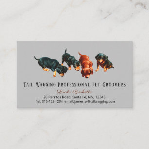 Tarjeta De Visita Cachorros adorables Doxie Dachshund Aseo de mascot