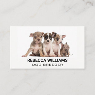 Tarjeta De Visita Cachorros de un grupo