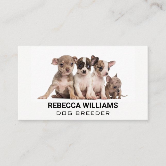 Tarjeta De Visita Cachorros de un grupo (Anverso)
