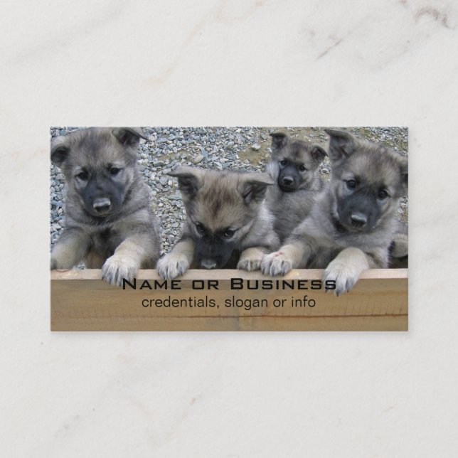 Tarjeta De Visita Cachorros elkhound noruegos (Anverso)