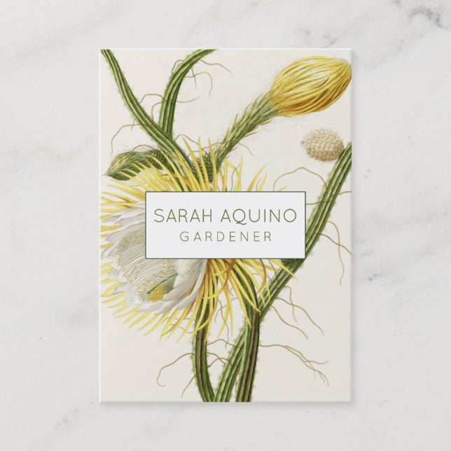 Tarjeta De Visita Cactus de luz de luna (Anverso)