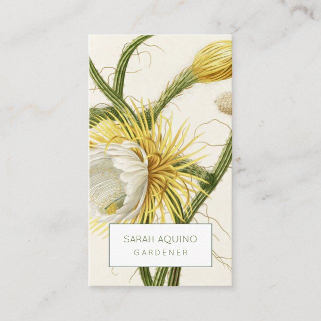 Tarjeta De Visita Cactus rustic Moonlight (Anverso)