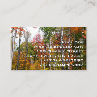 Tarjeta De Visita Caída en la colorida fotografía de otoño en el bos
