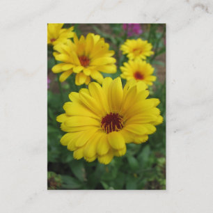 Tarjeta De Visita Calendulas ATC