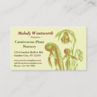 Tarjeta De Visita Californica del Darlingtonia floral