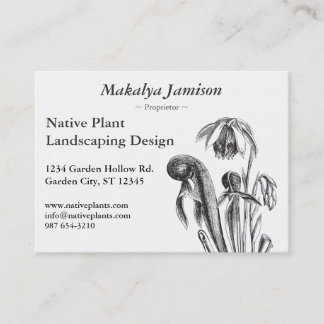 Tarjeta De Visita Californica del Darlingtonia, planta carnívora