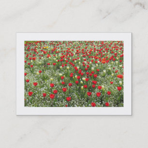 Tarjeta De Visita Cama de tulipanes (bordeada)