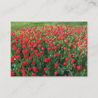 Tarjeta De Visita Cama de Tulipanes Rojos 01