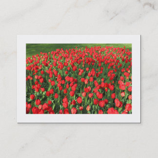 Tarjeta De Visita Cama de Tulipanes Rojos 02 (Con borde)