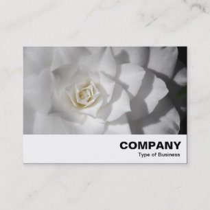 Tarjeta De Visita Camellia blanca