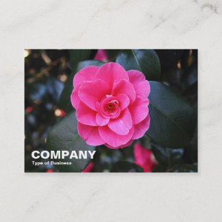Tarjeta De Visita Camellia rosa