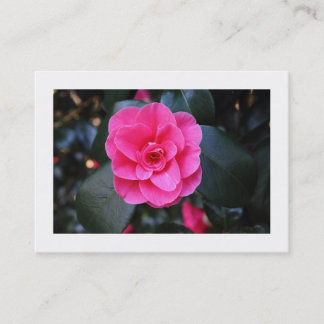 Tarjeta De Visita Camellia rosa (bordeada)