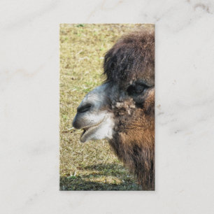 TARJETA DE VISITA CAMELLOS
