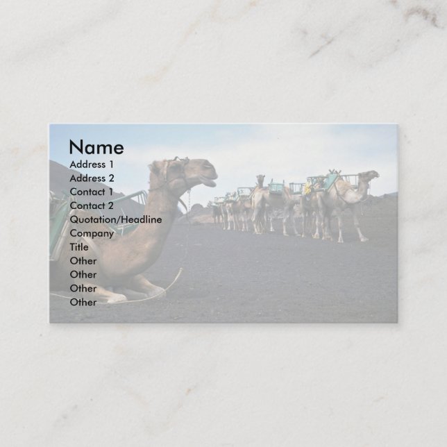 Tarjeta De Visita Camellos, Lanzarote (Anverso)