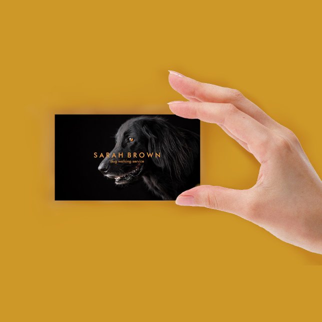 Tarjeta De Visita Caminador de Perros de Labrador Negro/Mascota Sitt (Black Labrador Dog Walker/Pet Sitter/Groomer Business Card)