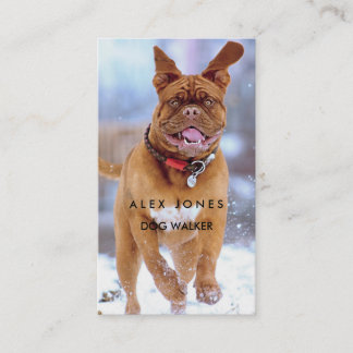 Tarjeta De Visita Caminante del perro