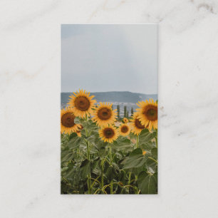 Tarjeta De Visita Campo de Girasoles Hermosos Fotografía de Naturale