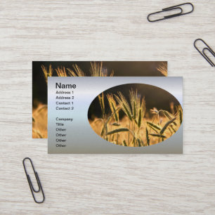 Tarjeta De Visita Campo de trigo fresco de granja