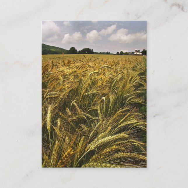 Tarjeta De Visita Campo del ATC del grano (Anverso)