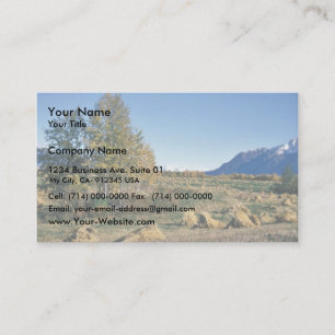 Tarjeta De Visita Campo del heno del valle de Matanuska