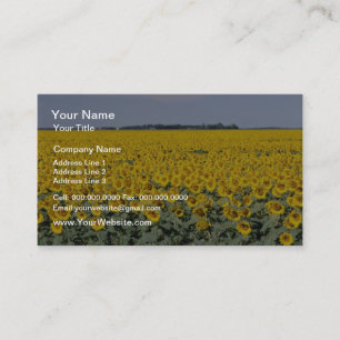 Tarjeta De Visita campo dorado amarillo de girasoles, flor manitoba