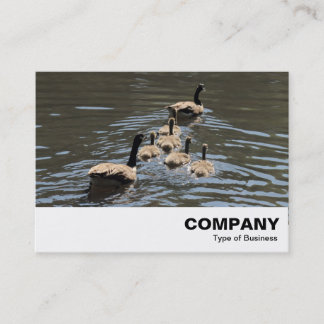 Tarjeta De Visita Canadá Geese con Goslings
