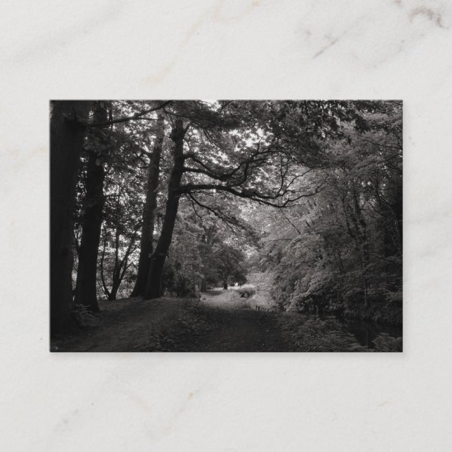 Tarjeta De Visita Canal, Bute Park, Cardiff (Anverso)