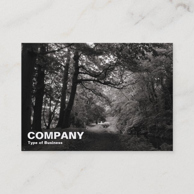 Tarjeta De Visita Canal, Bute Park, Cardiff (Anverso)