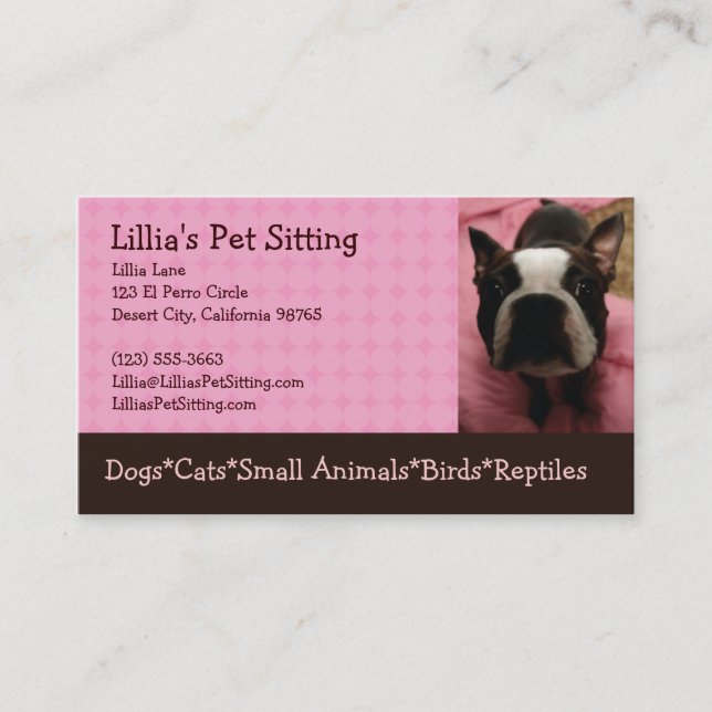 Tarjeta De Visita Canguro Boston Terrier del mascota (Anverso)