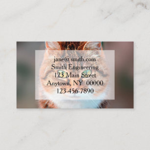 Tarjeta De Visita Cara De Gato De Mano