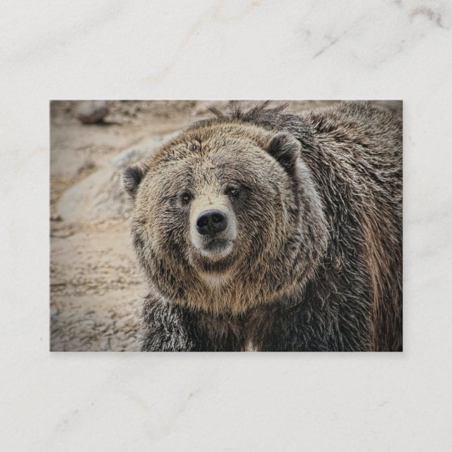 Tarjeta De Visita Cara linda del oso grizzly del animal salvaje (Anverso)